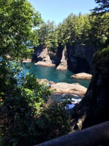 A running river surrounded by lush tress in Cape Flattery in Washington.